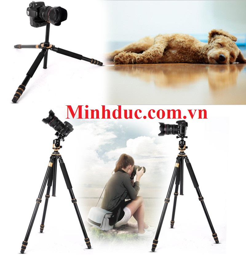 Chân máy ảnh chuyên nghiệp Tripod Beike QZSD – Q1000